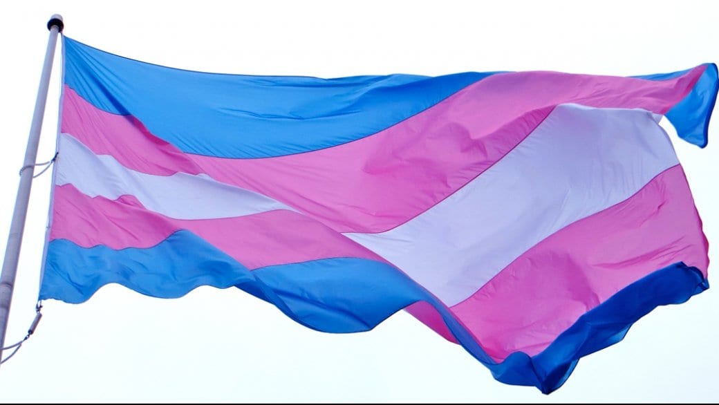 Experts scheduled to testify on trans-rights bill in April