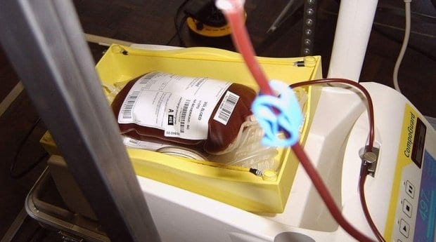 New Zealand seeks to change gay blood-donor rules