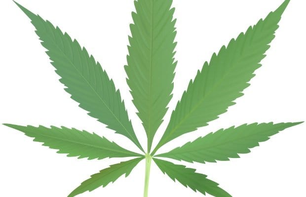 Sensible BC campaign aims to decriminalize marijuana possession