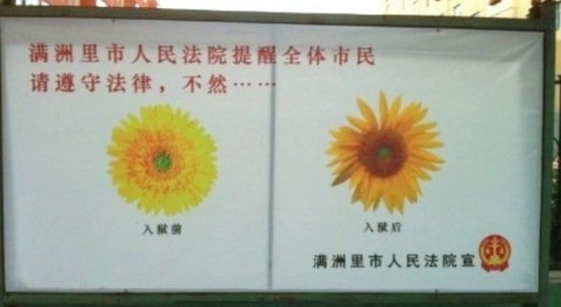 Chinese official poster accidentally refers to gay sex in prison