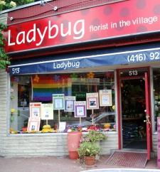 Ladybug display commemorates gay milestones
