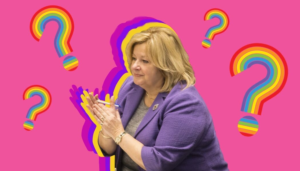 Ontario’s education minister wants you to know she has gay friends