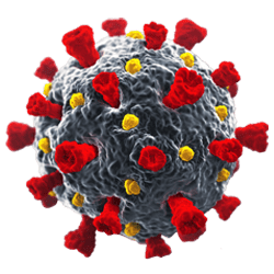 Illustration of a coronavirus.