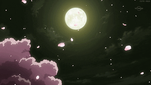 Cherry blossom moon