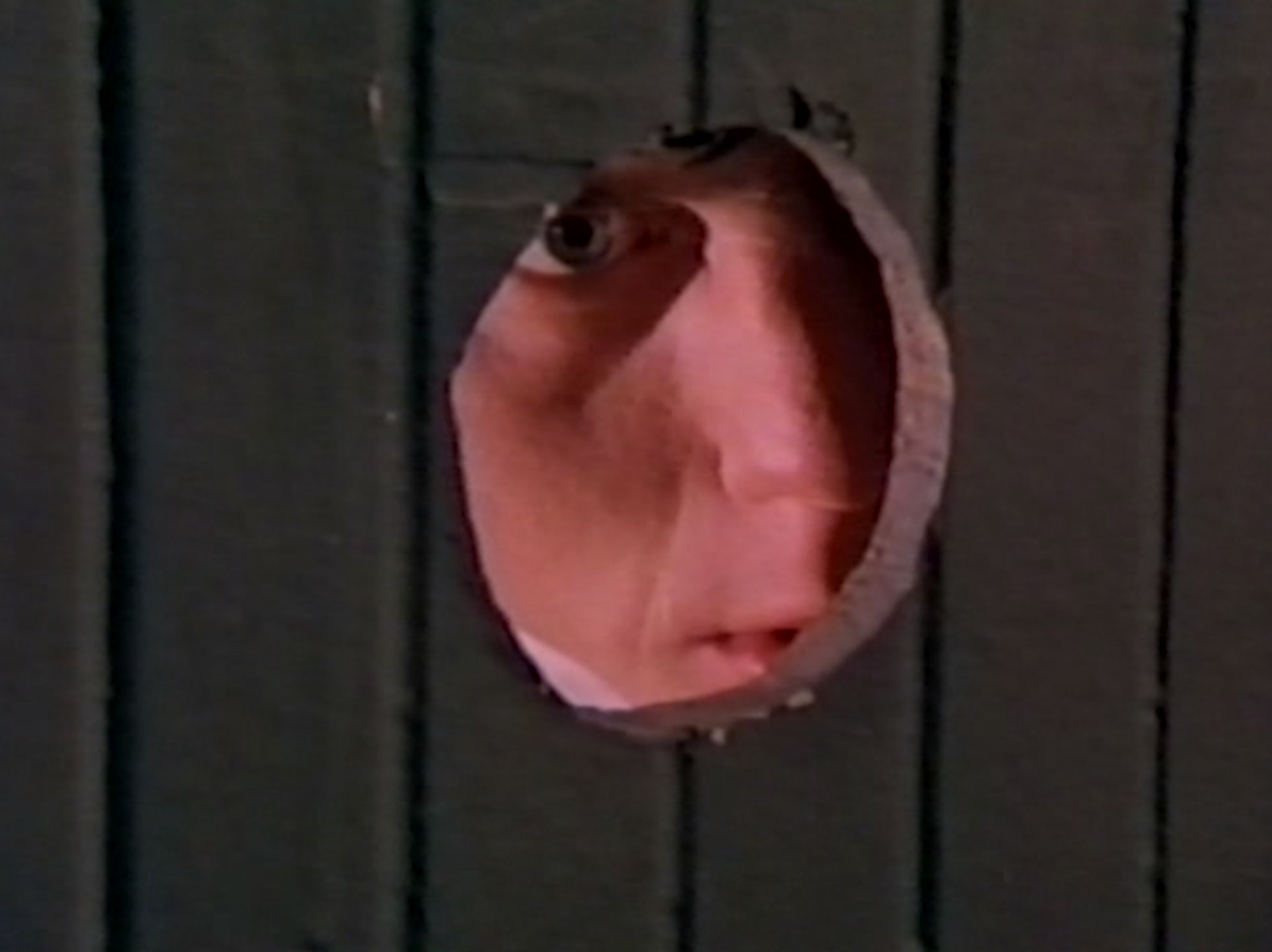 A still from 'Ask Any Buddy,' depicting a man looking through a glory hole.