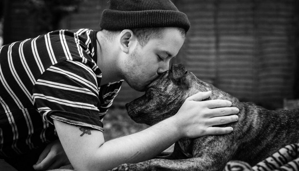 How rescue dogs embody the transformative power of unconditional love