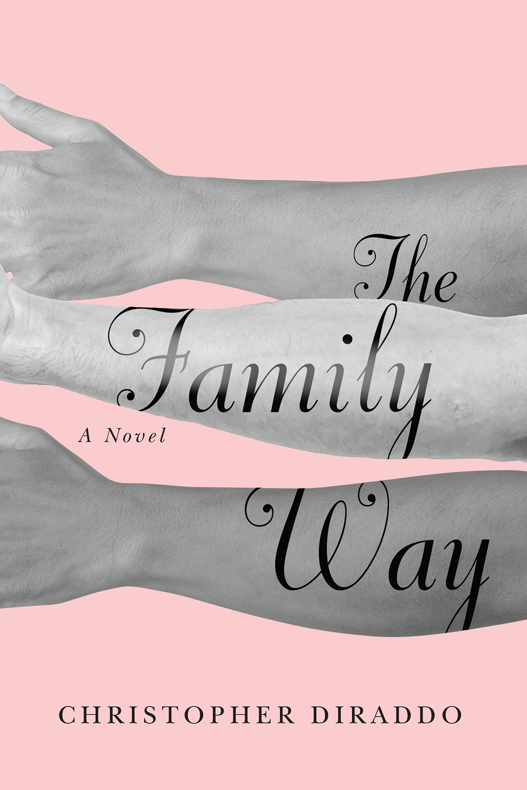 Book cover of The Family Way by Christopher DiRaddo
