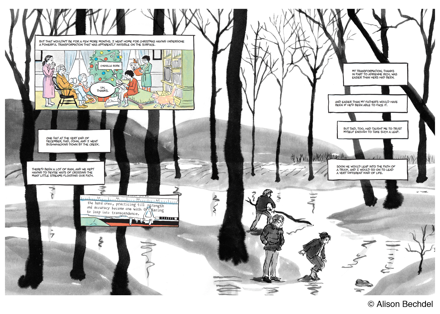 Panel from Alison Bechdel book The Secret to Superhuman Strength