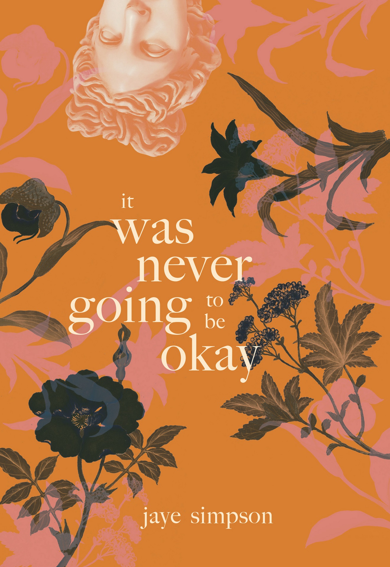 it was never going to be okay book cover