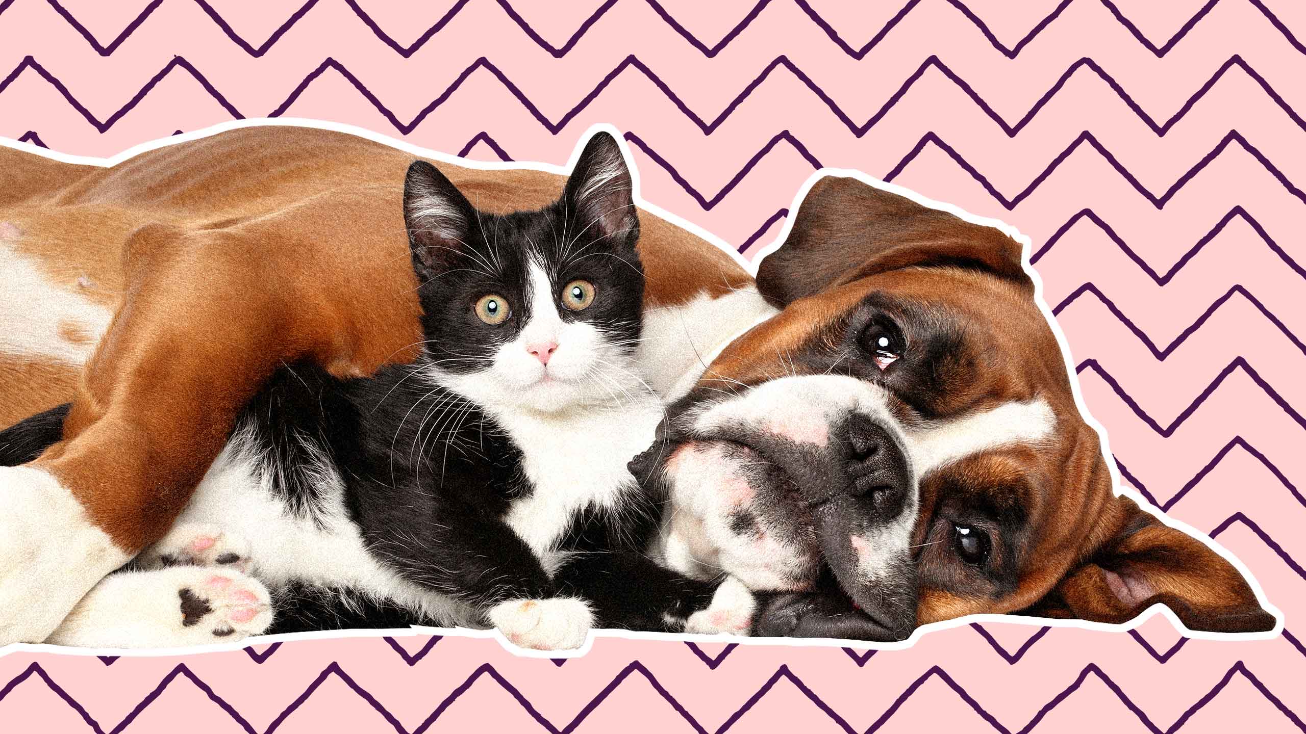 About Not Get Feelings For Someone You're Sleeping With