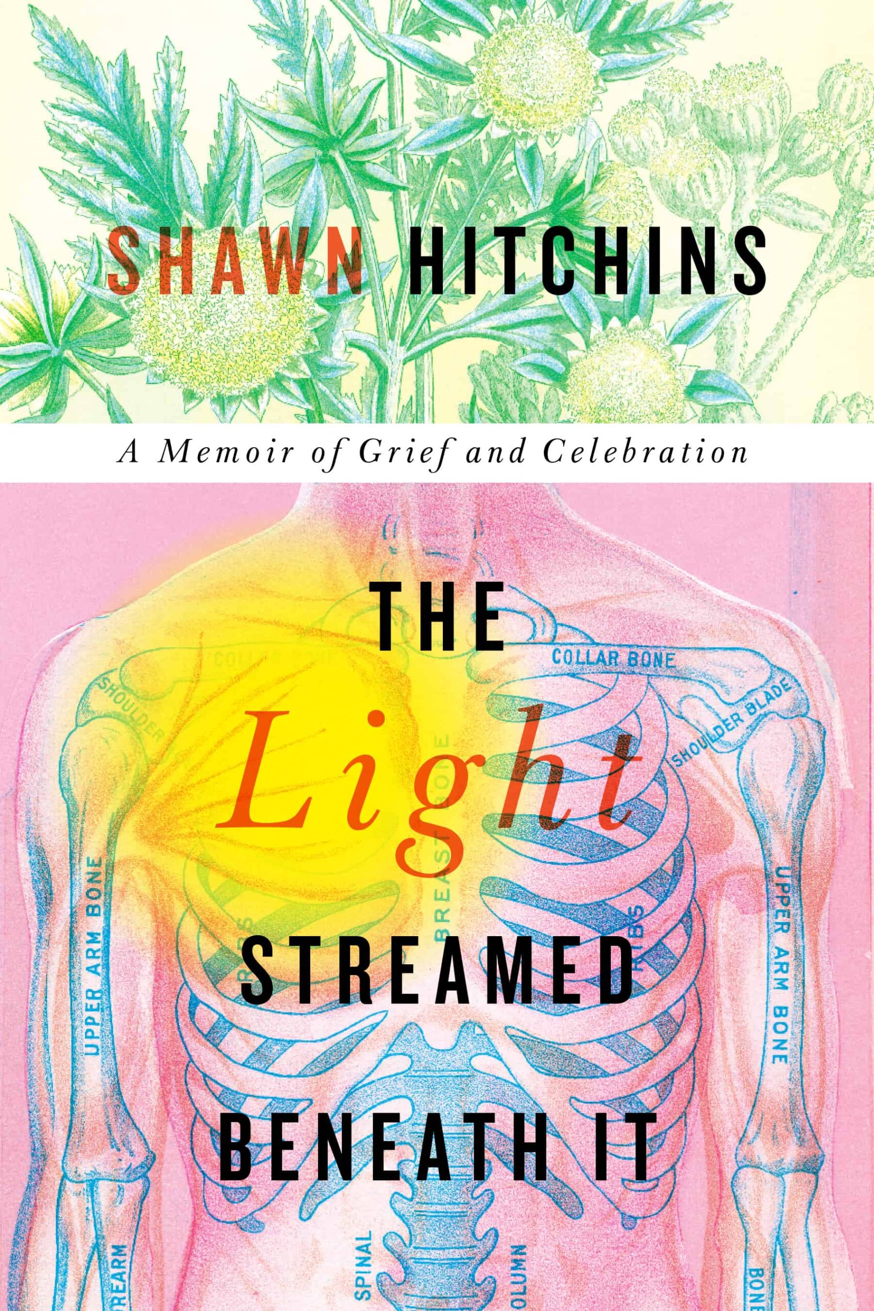 The book jacket for The Light Streamed beneath It, subtitled, a memoir of grief and celebration, features illustrations of thistles and a see-through body.