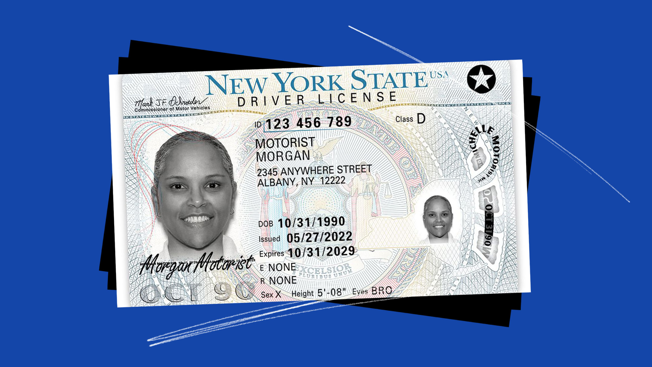 new york license 2022