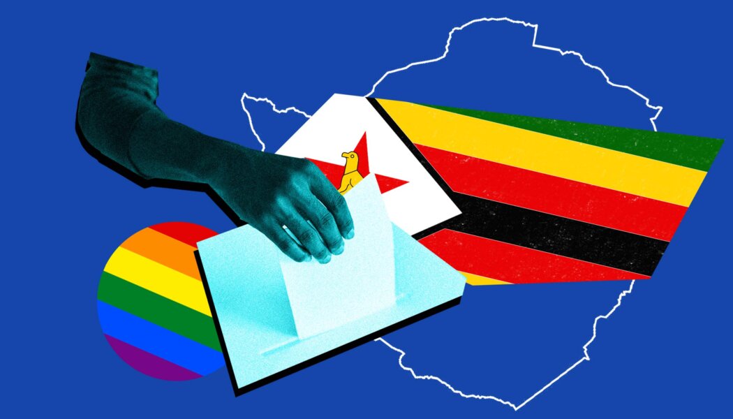 Why are LGBTQ+ voters being marginalized when it comes to the upcoming elections in Zimbabwe?
