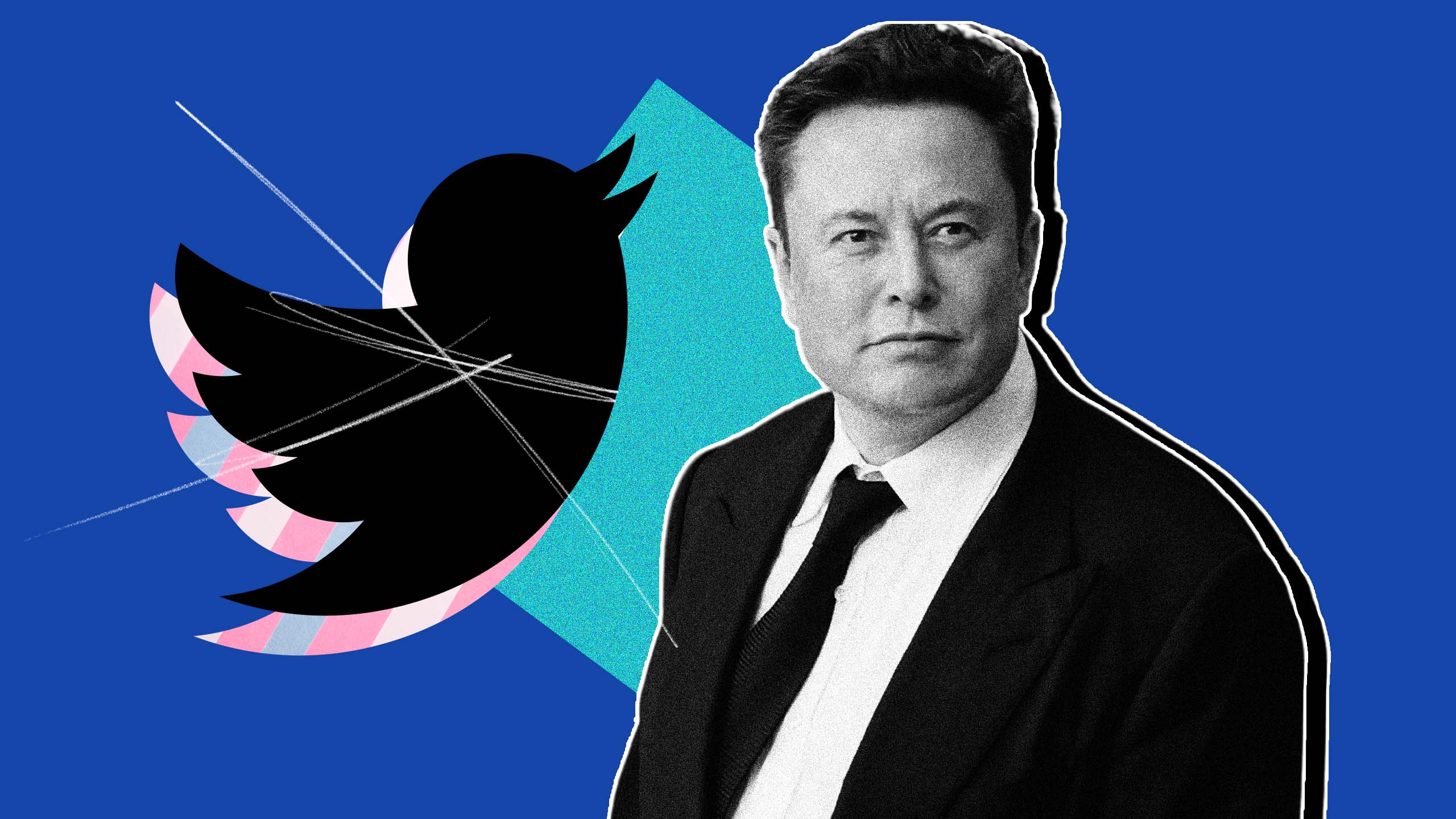 The Twitter logo with a shadow of a trans flag; Elon Musk wearing a blazer, collared shirt and tie