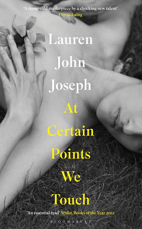 Lauren John Joseph At Certain Points We Touch book cover