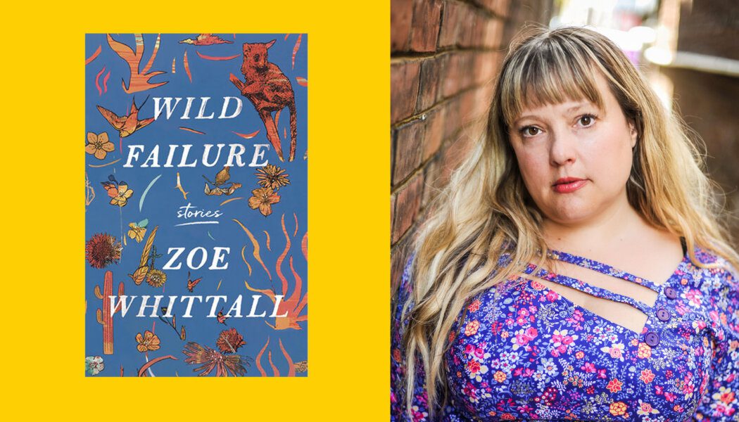 Zoe Whittall on writing sex scenes, capturing trauma and what people get wrong about queer femmes