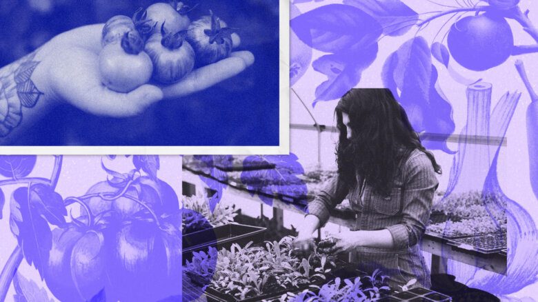 Blue and purple collage with an outstretched hand cupping tomatoes, a person moving small potted plants in a greenhouse and illustrated vegetable plants
