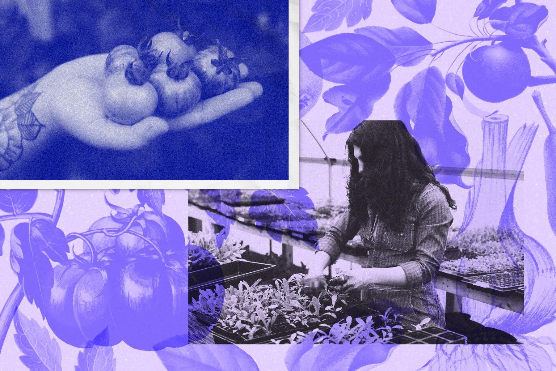 Queer farmers are growing better futures