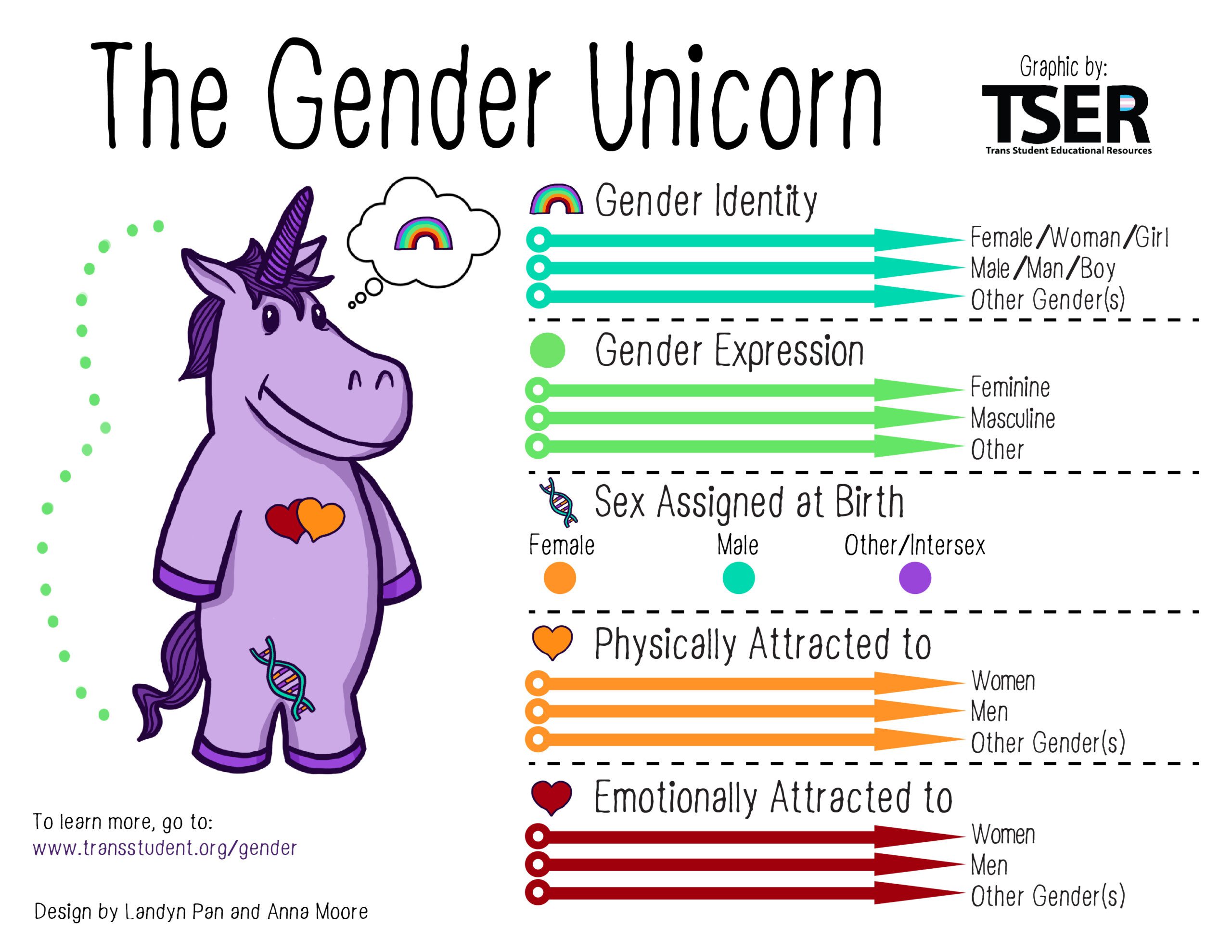 A graphic with a purple unicorn breaking down Gender Identity, Gender Expression, Sex Assigned at Birth, Physically Attracted to and Emotionally Attracted to