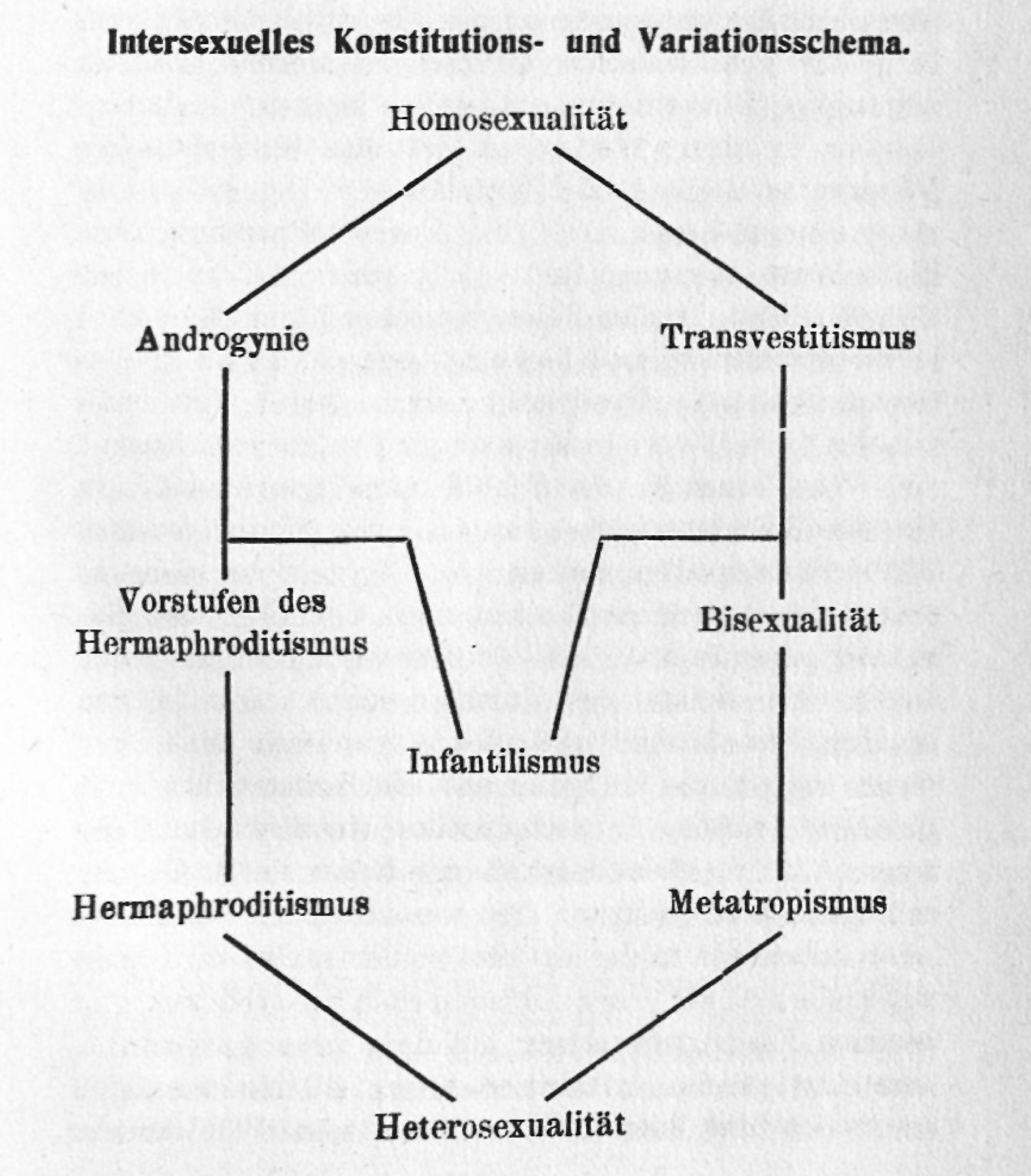 A chart with German words for gender identity and sexual orientation