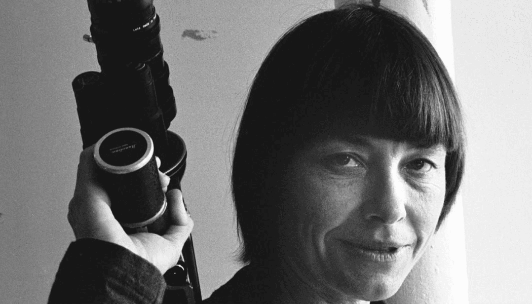 Barbara Hammer’s endless influence