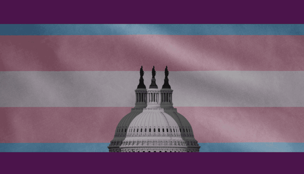 If Democrats win big in Congress, what can they do for queer and trans rights?